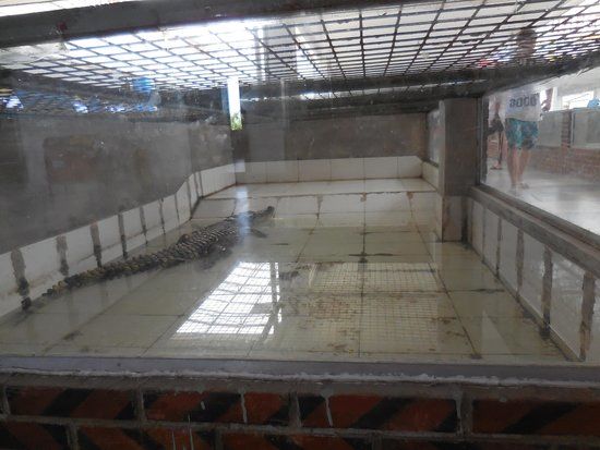 Nanshun Crocodile Park